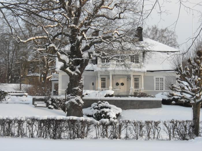 The Real Swedish House