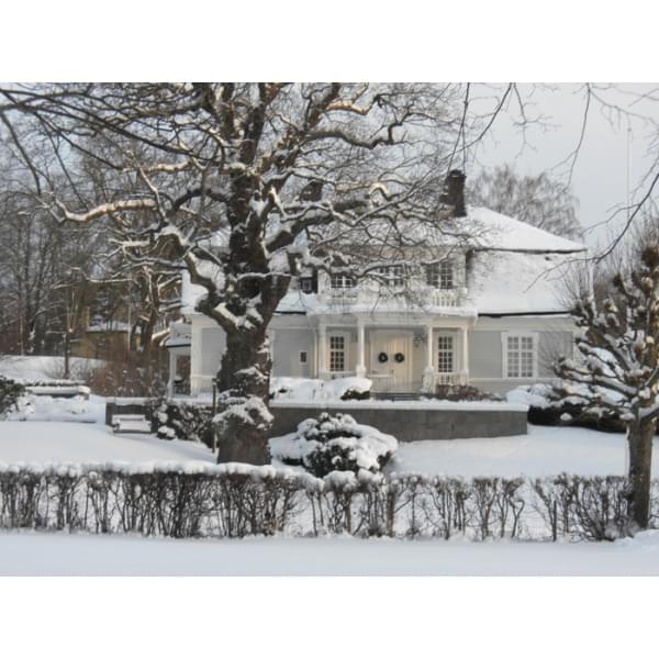 The Real Swedish House