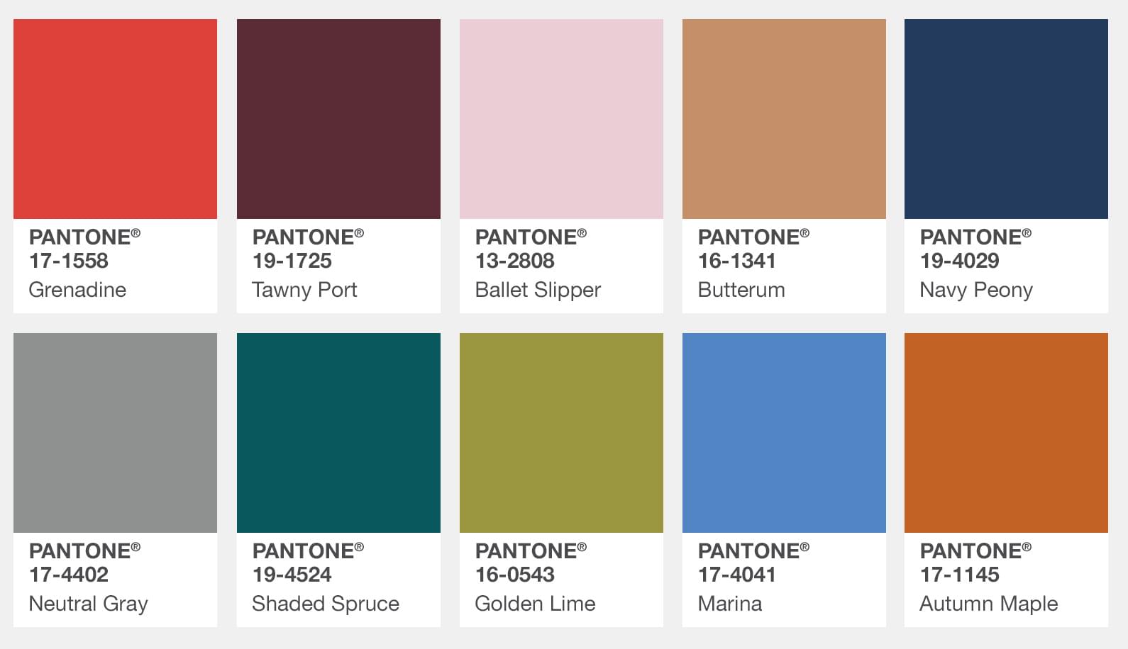 The colors of fall 2017 as seen in our rugs and on the runway