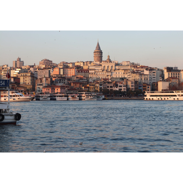 The Enduring Appeal of a Vintage Kilim Rug