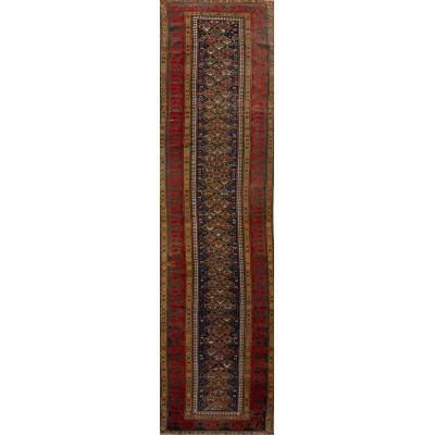 Antique Shirvan Rug