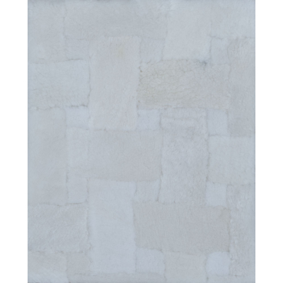 Hide Rug